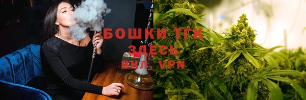 кокс Аркадак