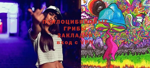 прущая мука Армянск