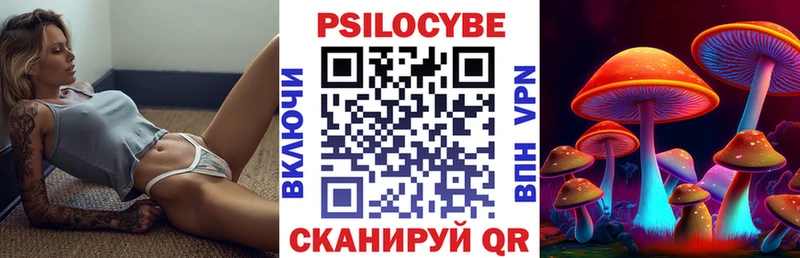 Купить  Байкальск  Галлюциногенные грибы MAGIC MUSHROOMS 